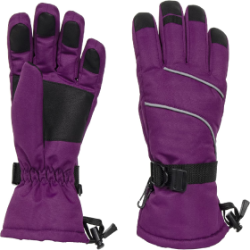 Only Supports Self Pickup  Women's Ski Gloves Waterproof Insulated Snow Gloves With Touch Screen (Option: Purp leLarge)
