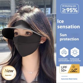 Summer Sun Mask Full Face With Hat Integrated Ice Silk Mask (Option: Black)
