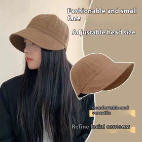 Ins Women's Sun Protection Hat Sunshade Four Seasons Adjustable (Option: Brown-Free Size)
